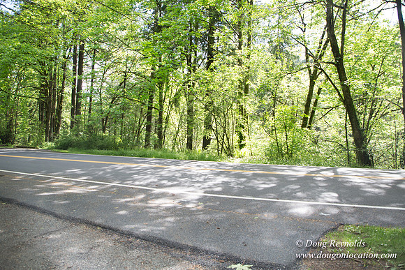 Wild Wood Trail Parking