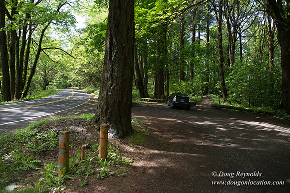 Wild Wood Trail Parking
