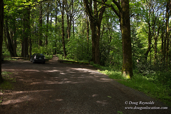 Wild Wood Trail Parking