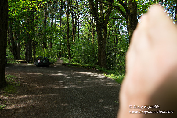 Wild Wood Trail Parking