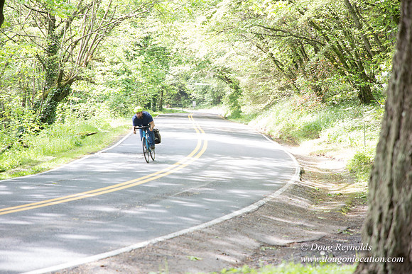 Wild Wood Trail Parking