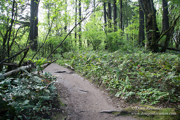 Wild Wood Upper Trail