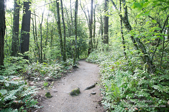 Wild Wood Upper Trail