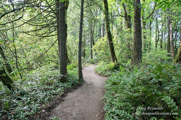 Wild Wood Upper Trail