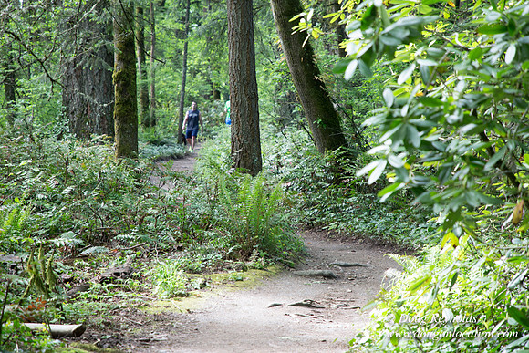 Wild Wood Upper Trail