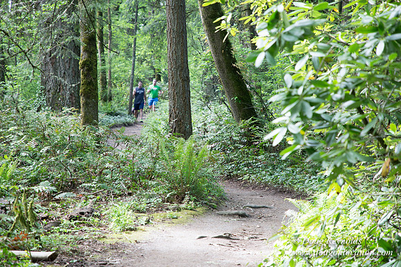 Wild Wood Upper Trail
