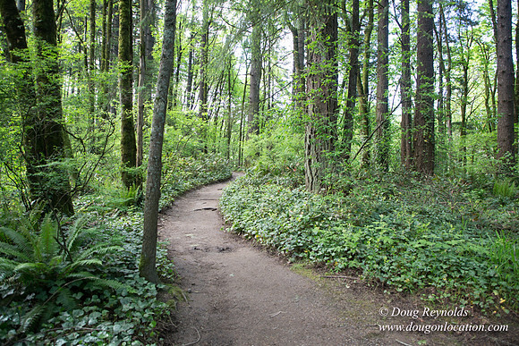 Wild Wood Upper Trail