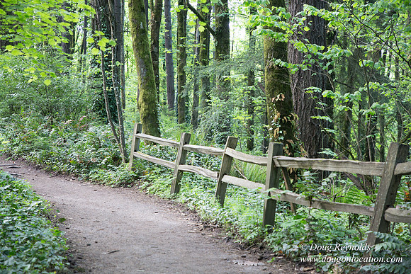 Wild Wood Upper Trail