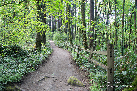 Wild Wood Upper Trail