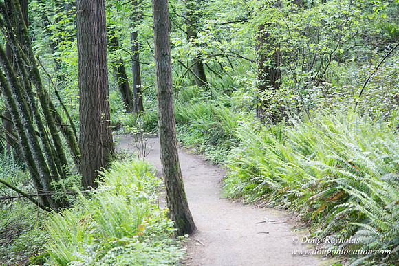 Wild Wood Upper Trail