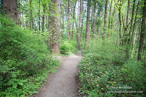 Wild Wood Upper Trail