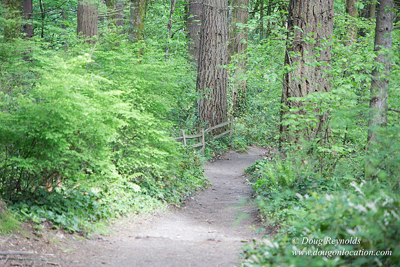 Wild Wood Upper Trail