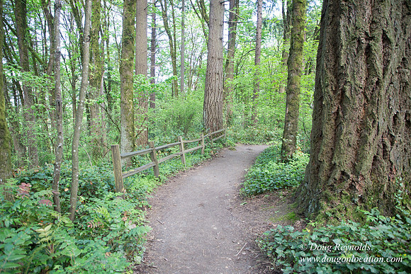 Wild Wood Upper Trail
