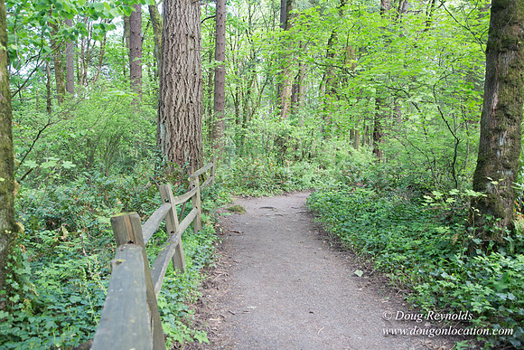 Wild Wood Upper Trail