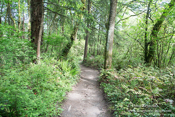 Wild Wood Upper Trail
