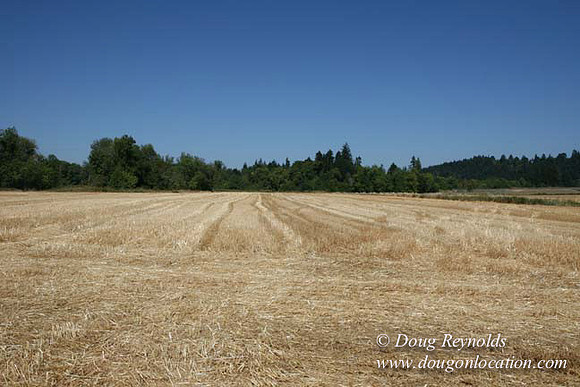 Farm 4 has Barns Shops they grow Wheat and Corn.  in the Portland Zone