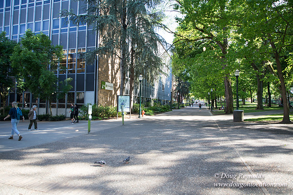 South Park Blocks PSU