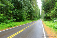 Larch Mt Rd