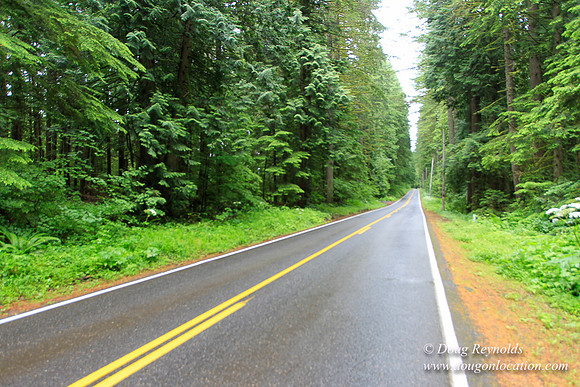 Larch Mt Rd