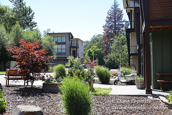 Silkirk Town Homes-8176