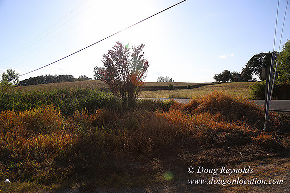 Moores Rd 1-7014