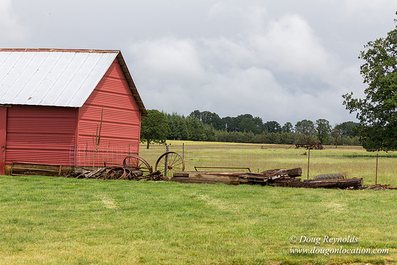 Gens Farm-4535