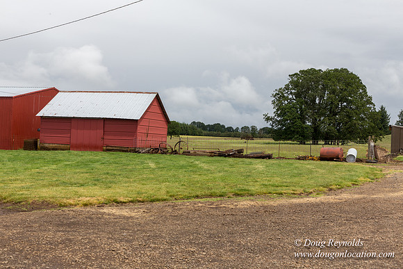 Gens Farm-4534