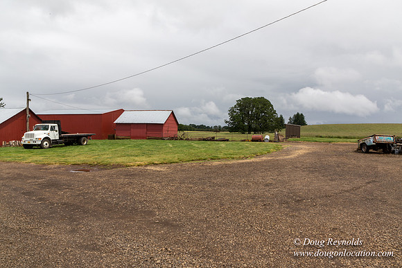 Gens Farm-4536