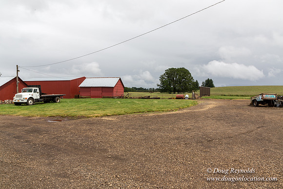 Gens Farm-4537