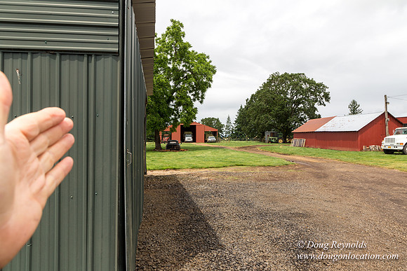 Gens Farm-4538