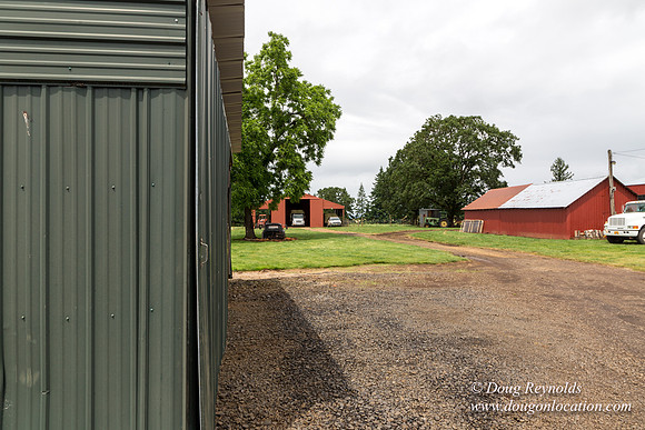 Gens Farm-4539