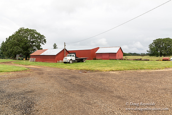 Gens Farm-4540