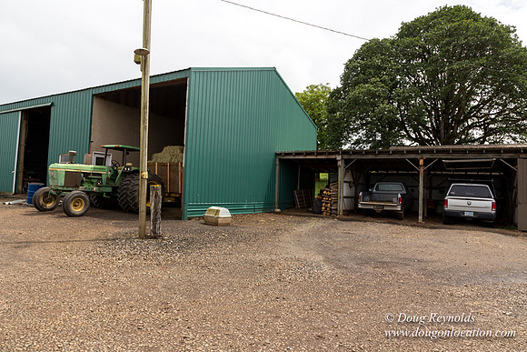 Gens Farm-4543