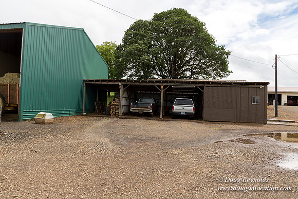 Gens Farm-4544