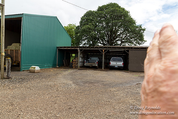 Gens Farm-4545