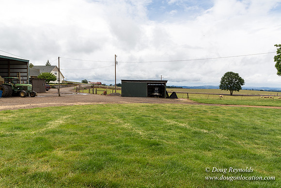 Gens Farm-4549