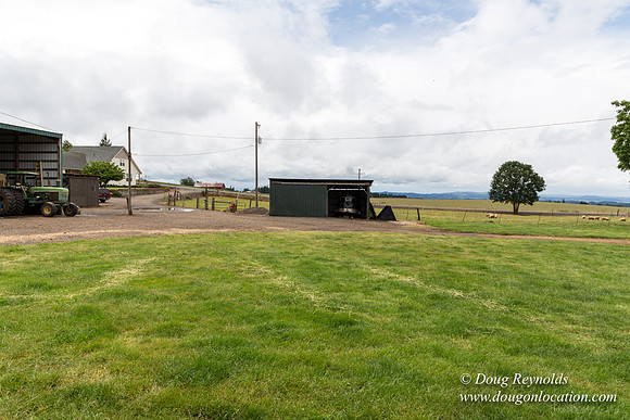 Gens Farm-4550