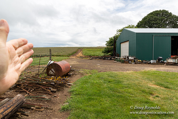 Gens Farm-4551