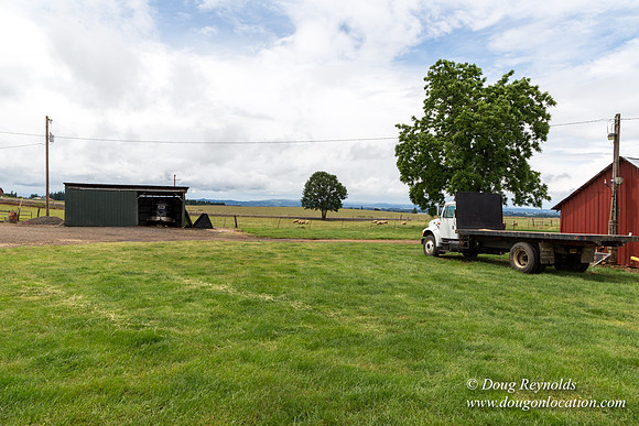 Gens Farm-4555