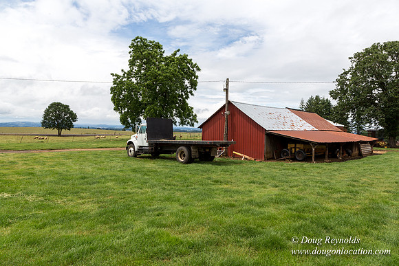 Gens Farm-4556