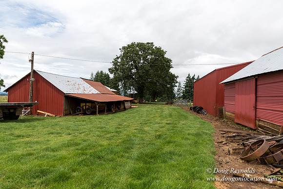 Gens Farm-4557
