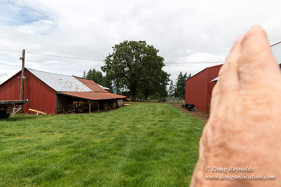 Gens Farm-4558