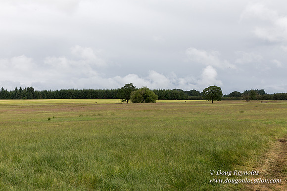Gens Farm-4560
