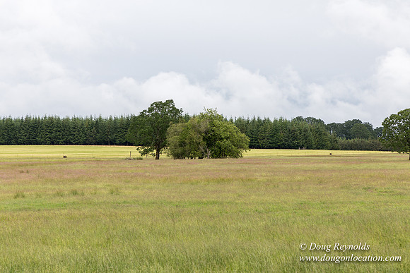 Gens Farm-4561