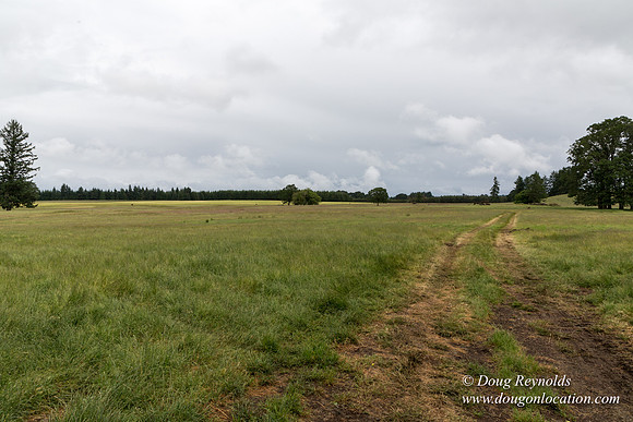 Gens Farm-4562