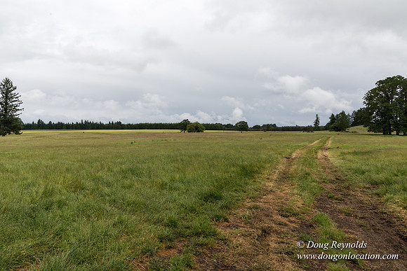 Gens Farm-4563