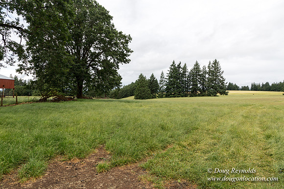 Gens Farm-4565