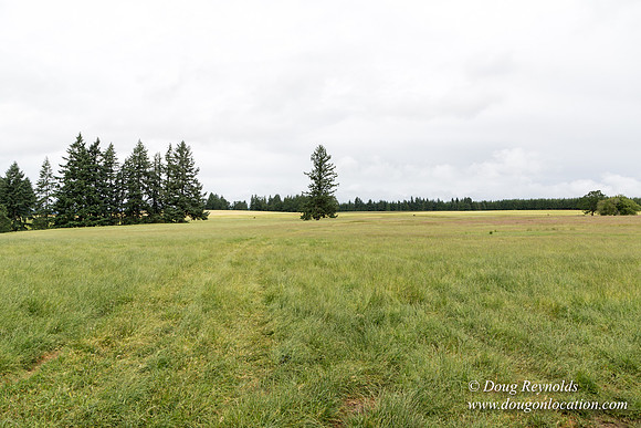 Gens Farm-4566