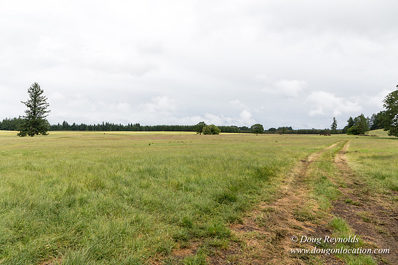 Gens Farm-4567