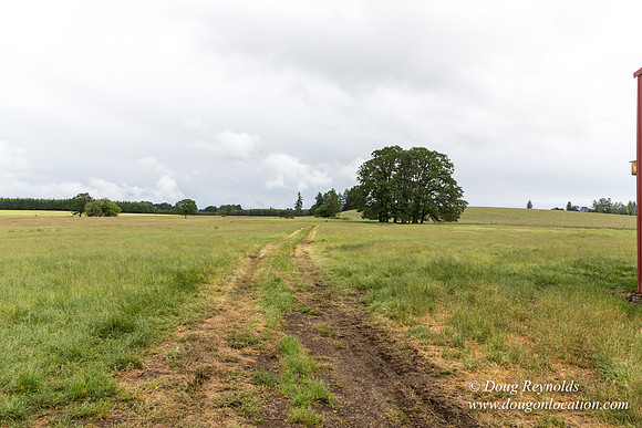 Gens Farm-4568